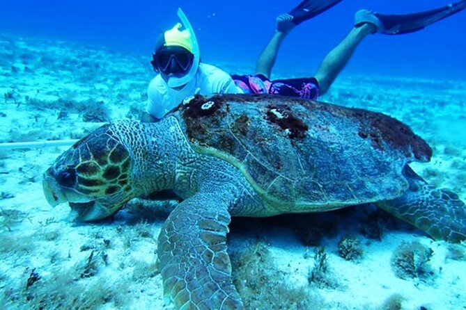 Cozumel: Small Group Glass Bottom Boat Snorkeling Tour - Traveler Photos