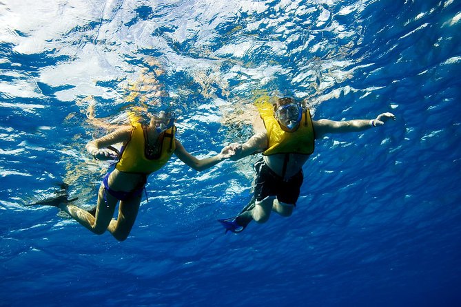 Cozumel & Snorkel Day Trip From Cancun - Traveler Photos and Reviews