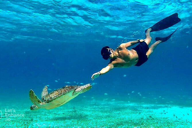 Cozumel Snorkeling in Turtle and Starfish Sanctuary - Discovering the Starfish Sanctuary
