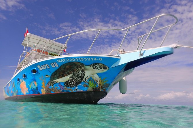 Cozumel Snorkeling Tour: Palancar, Columbia and Cielo Reefs - Quality of the Boat and Equipment