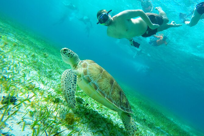 Cozumel Snorkeling Tour: Starfish, Stingrays and the Turtle Bay Experience - Cancellation Policy and Refund Details