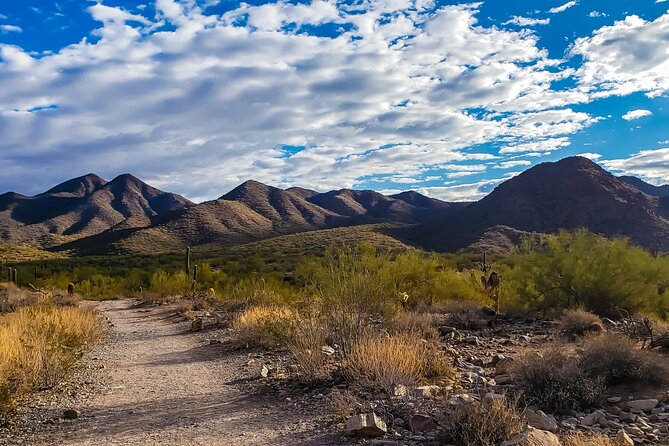 Creative Soul Scavenger Hunt (Lost Dog Trailhead, Scottsdale) - Experience Highlights
