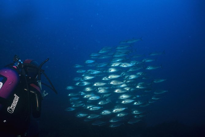 Crete Introductory Scuba Diving Experience - Booking and Flexibility