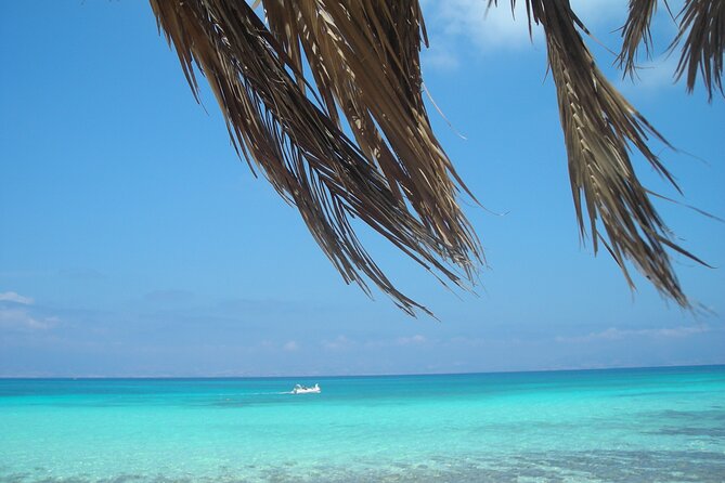 Cruise to Chrissi Island With Lunch Included, and Ierapetra Town - Cruise Itinerary and Highlights