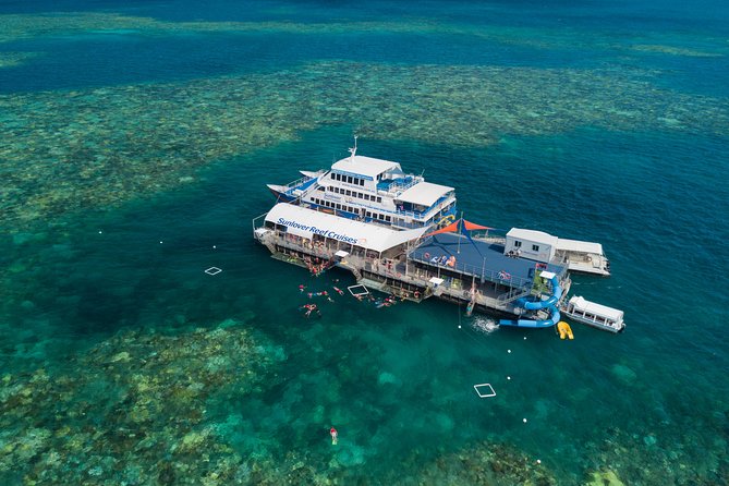 Cruise to Moore Reef Pontoon and Return Helicopter Flight From Cairns - Weight Policy