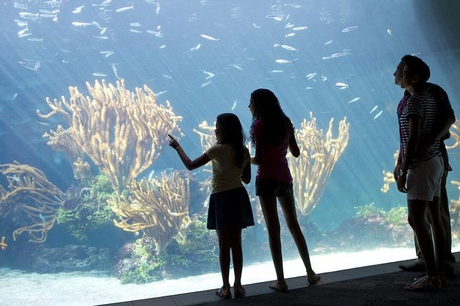 Crystal Caves, Aquarium, City of Hamilton and Ferry - Meeting and Pickup Details