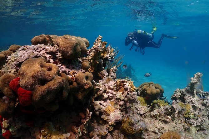 Culebra Snorkeling Day Trip - Relaxing on Cayo Luis Peña Beach