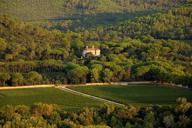 Culinary and Wine Excursion in the Gulf of Saint-Tropez  - St-Tropez - Meeting and Pickup Details