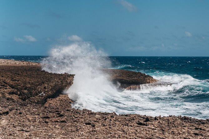 Curaçao Island Tour - Liqueur Distillery and Blue Curaçao Production