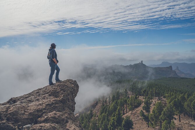 Custom Private & VIP Highlights Tour of Gran Canaria - Tour Highlights