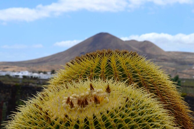 Customized Private Tours of Lanzarote Island - Exploring Lanzarotes Natural Wonders