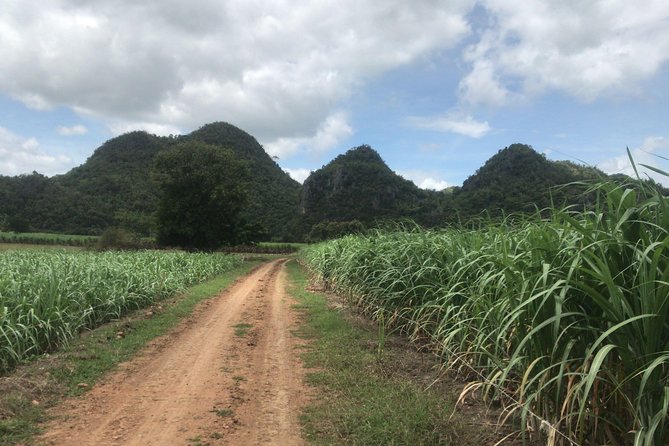 Cycling in Rural Kanchanaburi Area - Wildlife Encounters
