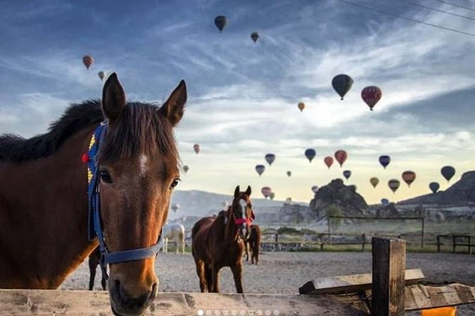 Daily Cappadocia North Tour - Meeting and Pickup Details