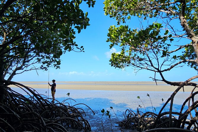 Daintree Rainforest, Mossman Gorge and Aboriginal Beach Day Tour - Mossman Gorge Adventure