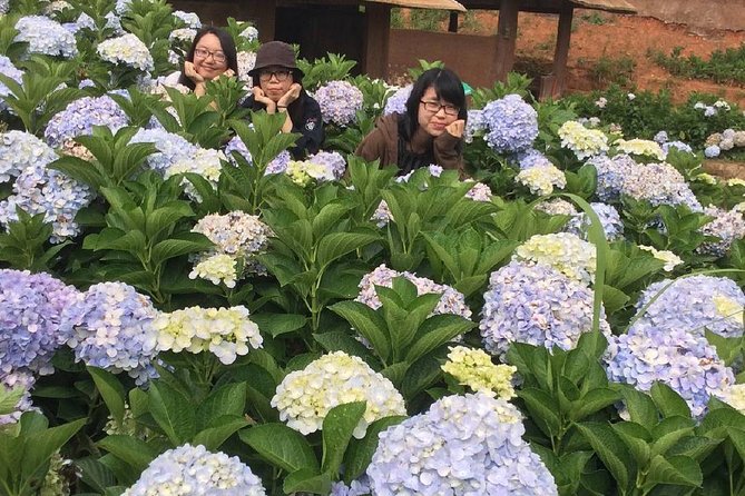 Dalat City Private Tour With Datanla Falls and More  - My Son - The Crazy House