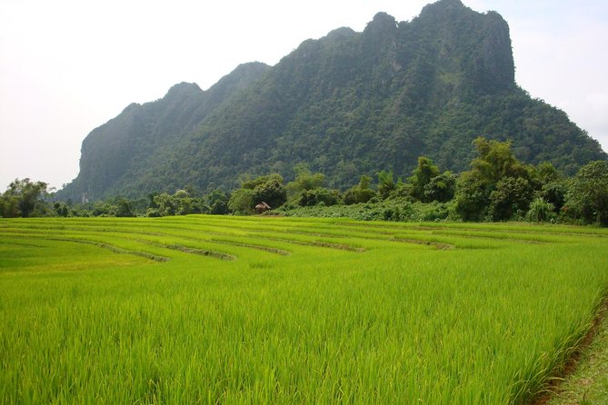 DALAT to MUI NE By Private VIP Car/ VIPMotorcycle - Private VIP Car Options