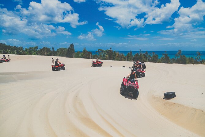 Day Cruise to Tangalooma Island Resort on Moreton Island - Overview and Activities