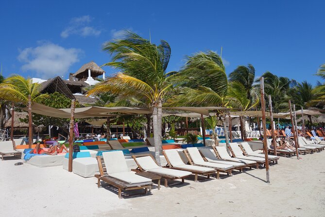 Day Pass to Pez Quadro Beach Break With Lunch and Open Bar - Cancellation Policy and Expectations
