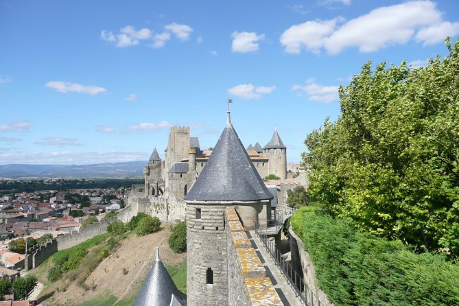 Day Tour : Cité De Carcassonne and Wine Tasting. Private Tour From Carcassonne. - Wine Tasting Experience