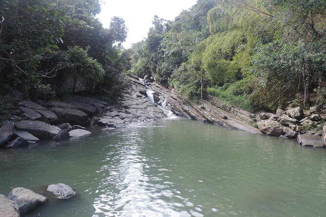 Day Tour in El Yunque Rainforest, Natural Water Slides & Luquillo Beach - Tour Experience
