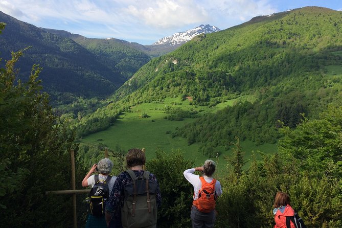 Day Tour to Montségur and Mirepoix. Private Tour From Toulouse. - Meeting and Pickup