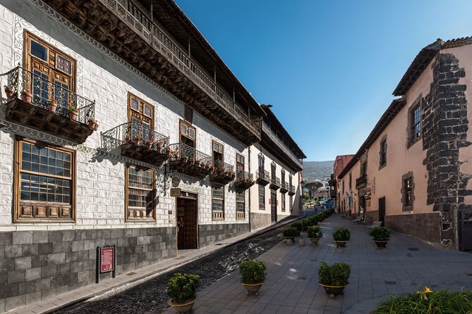 Day Tour With Official Guide Around the Island of Tenerife - Feedback and Suggestions