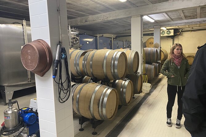 Day Trip Champagne Meeting to Champagne Growers From Reims - Uncovering the Secrets of Champagne Production