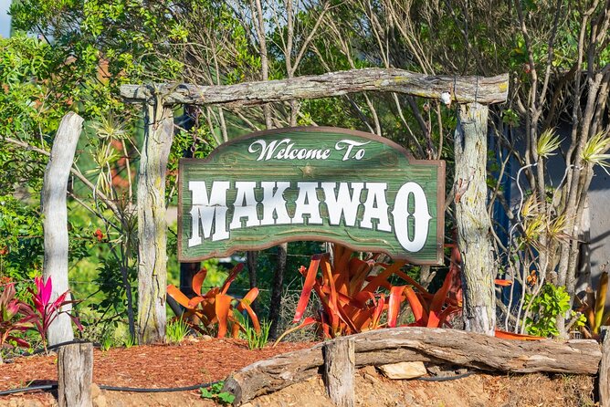 Day Trip Oahu to Maui Haleakala & More - Welcome to Maui! - Overall Experience and Recommendations