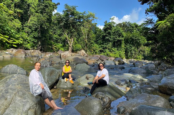 Day Trip to El Yunque Tropical Rainforest From San Juan - Common Questions