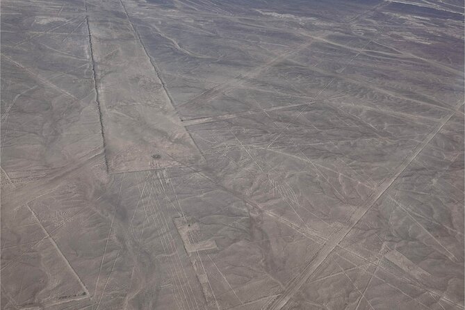 Day Trip to the Nazca Lines & Huacachina From Lima - Aerial Adventure: Flying Over the Nazca Lines