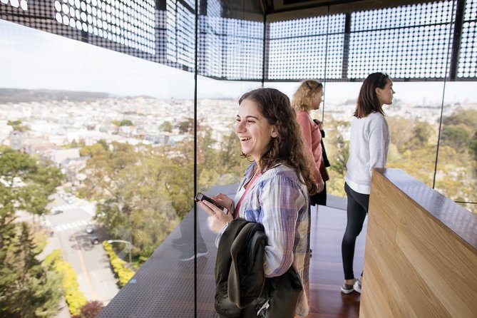 De Young Museum General Admission Ticket - Inclusions and Meeting Details