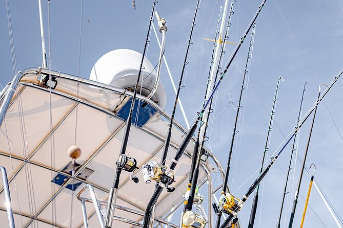 Deep Sea, Tuna and Marlin Fishing, Sports Fishing Cabo San Lucas - Reviews and Ratings