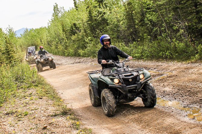 Denali ATV Trailblazer 3.5 Hour Tour - Tour Overview