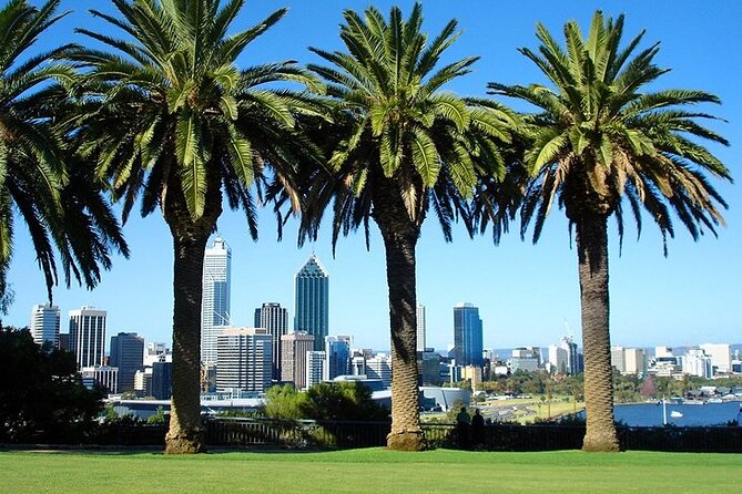 Departure Private Transfer: Perth City to Perth Airport PER in Luxury Van - Additional Information and Resources