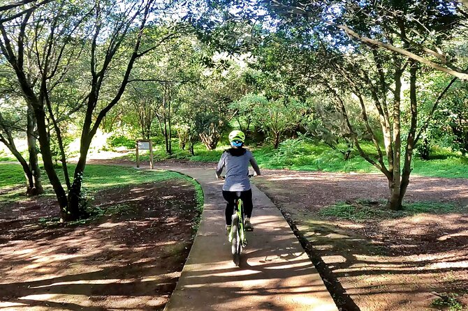 Descend in Mountain Bike in Northern Forests of Gran Canaria - Guided Tours and Local Operators