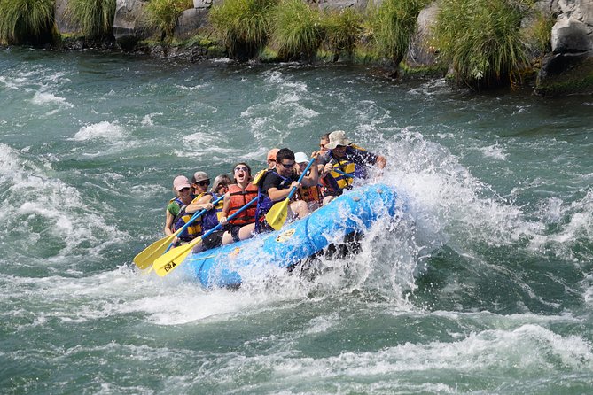Deschutes River Half-Day Guided Trip - Meeting and Pickup