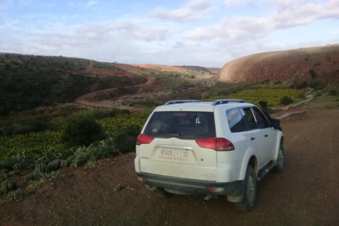 Desert and Ocean Private Day Tour - Desert Exploration