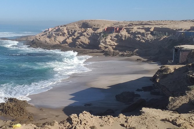 Desert and Wild Beach Day Trip With Meal - Inclusions