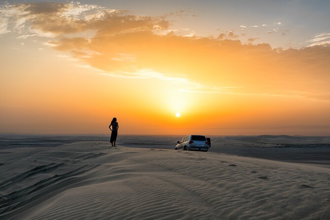 Desert Safari, Dinner, Shows, Camel Ride, Sand Boarding & Photos - Pickup and Transportation