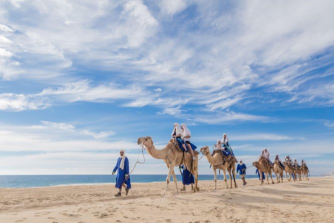 Desert & Sea, Camel Safari Tour in Los Cabos With Lunch - Desert Exploration