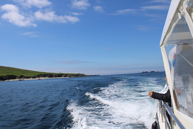 Dingle Blasket Island Adventure & Wildlife Cruise - Wildlife Spotting on the Blasket Islands