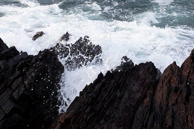 Dingle Peninsula Day Tour From Killarney: Including the Wild Altanic Way - Reviews