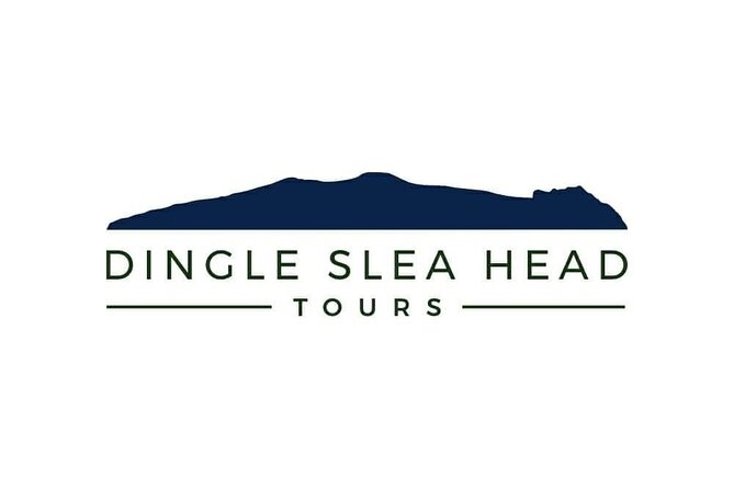 Dingle To Kerry Airport Private Chauffeur Transfer - What to Expect