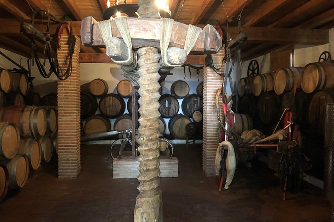 Discover Boutique Wineries and White Washed Villages With Andalucian Lunch - Uncover Hidden Gems