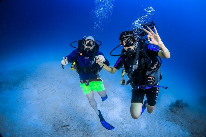 Discover Scuba Diving & Beach Club With Transportation in Riviera Maya - Pickup Details and What to Expect