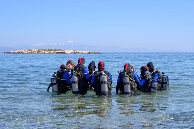 Discover Scuba Diving, Beginners Experience - What to Expect During Your Dive