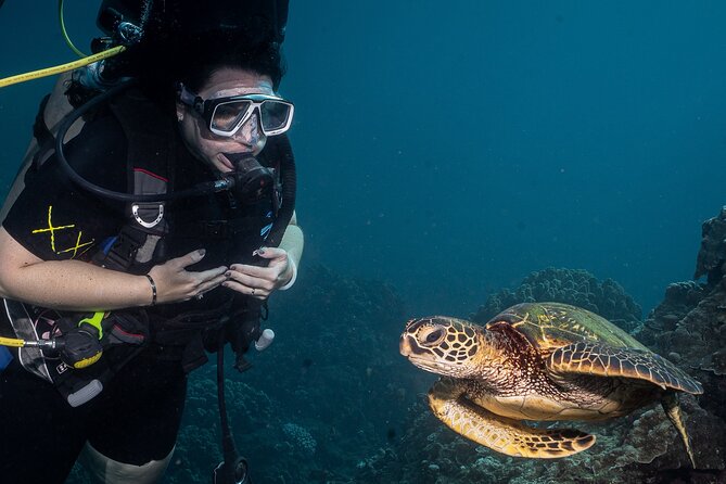Discover Scuba Diving Class - Lahaina - Overview of the Experience