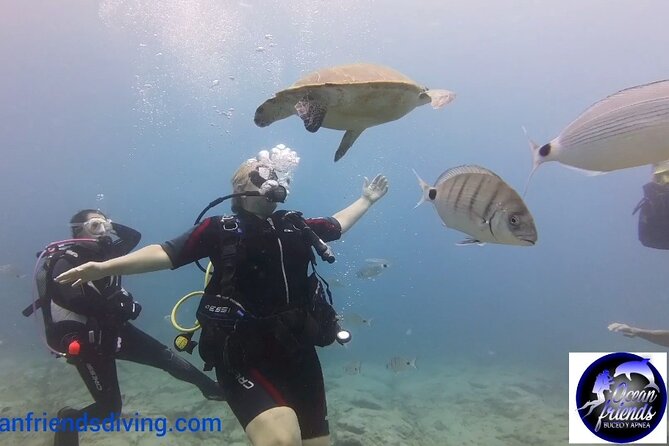 Discover Scuba Diving, Free Pictures Included - Cancellation Policy