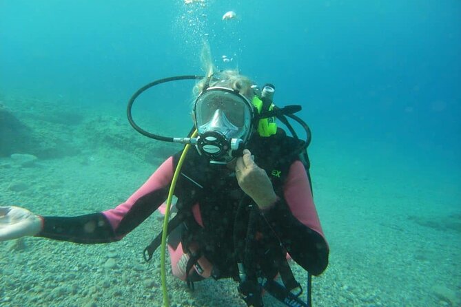 Discover Scuba Diving Full Mask - Meeting and Pickup Details