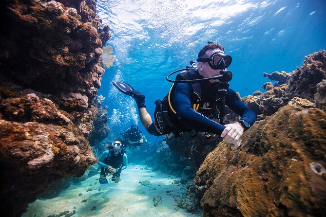 Discover Scuba Diving in Palamos - Meeting and Pickup Information